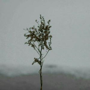 女生让男生操自己
